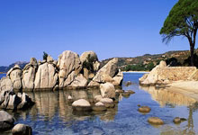 赛后国王杯传出新动向，布莱顿回应争议，管理层表态：底气十足，轮换策略成焦点的简单介绍-爱博娱乐平台